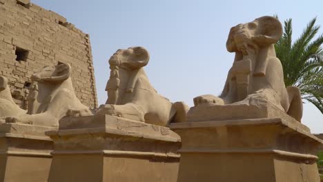 Karnak-Temple-in-Luxor,-Egypt.-The-Karnak-Temple-Complex,-commonly-known-as-Karnak,-comprises-a-vast-mix-of-decayed-temples,-chapels,-pylons,-and-other-buildings-in-Egypt.