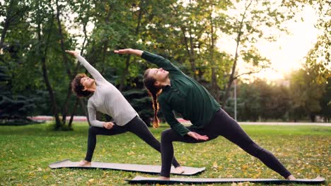 Zwei-hübsche-Frauen-tun-Yoga-im-Freien-im-Park-auf-Matten-üben-Asanas-und-frische-Luft-atmen.-Individuelle-Praxis,-professionellen-Instruktor-und-Natur-Konzept.