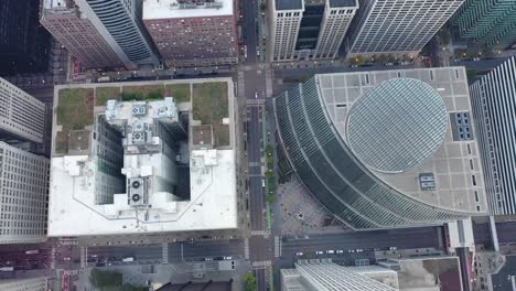 Secuencias-del-abejón-en-Chicago,-IL