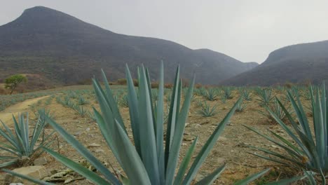 Puebla-Sirra-Madre-Oriental-Berge