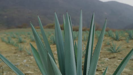 Puebla-Sirra-Madre-Oriental-Berge