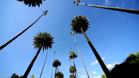 Punto-de-vista-de-conducción-zona-ajardinada