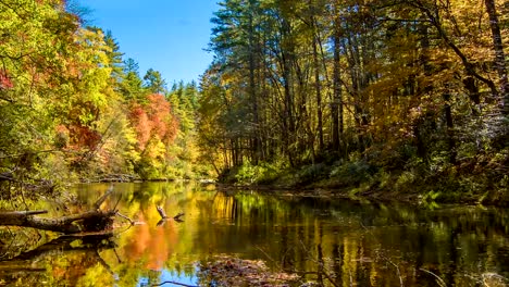 Herbst-Farben-auf-Wasserfall-Linville-Fluss-an-Wasserfällen,-North-Carolina