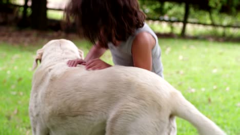 Hispanische-Jungen-spielen-mit-einem-Hund-im-Park