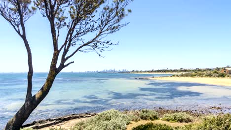 Melbourne-city-skyline-from-Brighton-Beach-during-bright-summer-daylight