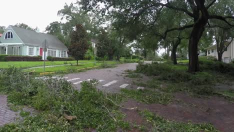 Daños-de-huracán-Irma-en-el-histórico-barrio-de-Lake-Eola-alturas-Orlando-Florida