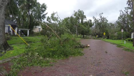 Irma-Hurrikanschäden-im-historischen-Zentrum-von-Lake-Eola-Höhen-Nachbarschaft-Orlando-Florida