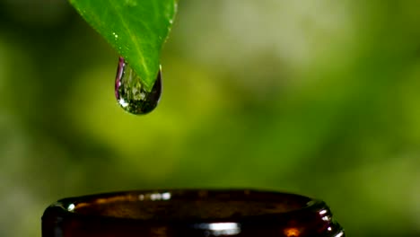 mezcla-de-aceites-esenciales-con-gotas-de-agua,-olores-y-aromas-de-aromaterapia-para-spa-y-wellness.-concepto-de-belleza.-aceite-esencial-fragante.-caída-de-gotas-de-esencia-de-una-hoja-en-la-piscina-en-el-centro-de-bienestar