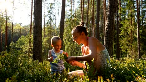 Mutter-und-Sohn-im-Alter-von-einem-Jahr-sammeln-und-Essen-wilde-Blaubeeren