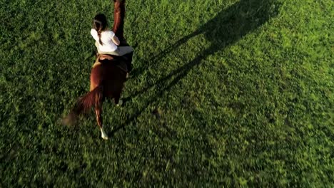 A-young-woman-rides-a-brown-horse-with-her-back-to-the-camera,-slow-motion,-top-view