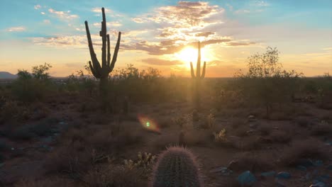 Scottsdale-Arizona-desert-sunset