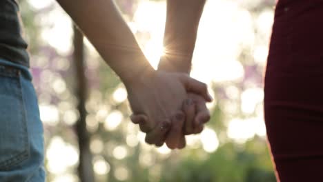 Joining-hands-together-at-the-park-with-sunlight-flare-in-the-background.-Concept-of-love,-affection,-friendship,-and-union