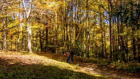 Blue-Ridge-Mountain-Hiking-Trial-with-People-Walking-in-Autumn