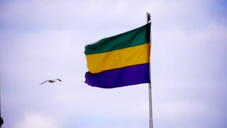 Mardi-Gras-Flagge