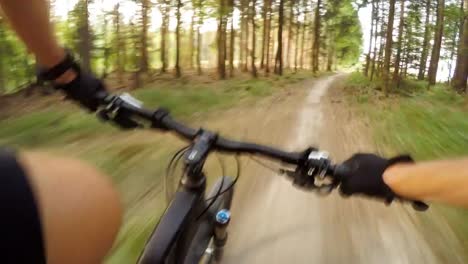 Ciclismo-de-montaña-en-el-bosque-de-verano-en-rastro-de-la-bici,-vista-en-primera-persona