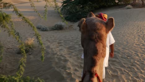 Point-of-View-of-a-ride-of-camel-in-sand-dunes-in-the-desert