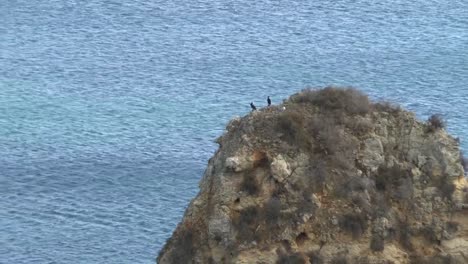 Die-Küste-der-Algarve-in-Lagos-Portugal