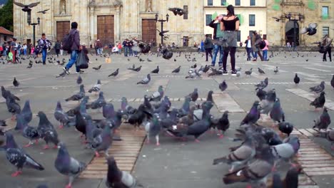 Palomas-y-gente-en-la-Plaza-de-Bolívar,-La-Candelaria,-Bogotá,-Colombia-2