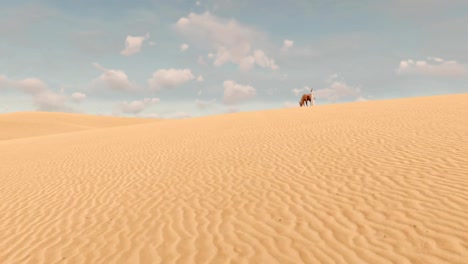 Arabic-man-and-red-horse-among-sandy-desert