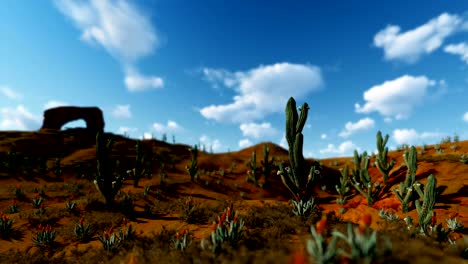 Saguaro-Cactus-in-Desert-against-timelapse-clouds,-camera-panning,-4K