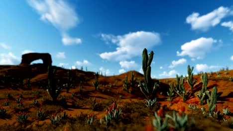 Saguaro-Cactus-en-el-desierto-contra-nubes-de-timelapse,-cámara-panorámica,-4K