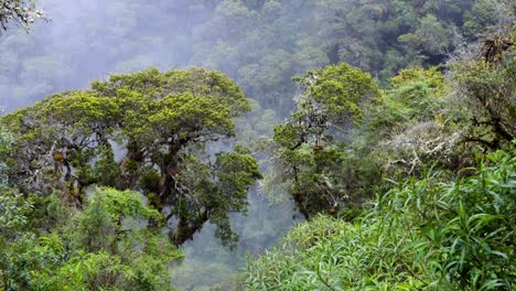 Machu-Pichu-and-the-adventure-getting-there