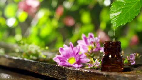 mezcla-de-aceites-esenciales-con-gotas-de-agua,-olores-y-aromas-de-aromaterapia-para-spa-y-wellness.-concepto-de-belleza.-aceite-esencial-fragante.-caída-de-gotas-de-esencia-de-una-hoja-en-la-piscina-en-el-centro-de-bienestar