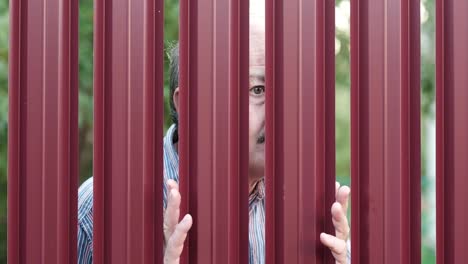 Senior-man-looking-through-fence-spying-on-his-neighbor