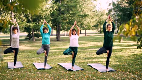 Focused-girls-yogini-are-standing-in-Vrksasana-pose-Tree-position-on-yoga-mats-in-park-in-autumn-maintaining-balance-and-breathing.-Wellness-and-youth-concept.