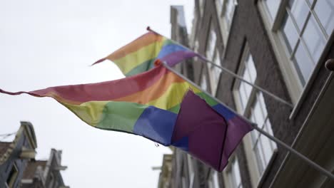 Regenbogenfarbenen-Flaggen-wehten-auf-Straße