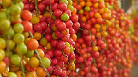 Kolumbianische-Obststand-exotische-Corozo-Fruit-in-Medellin,-Kolumbien