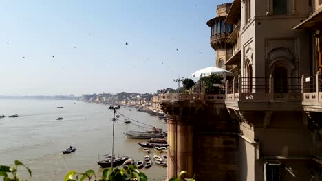 Pájaros-en-Varanasi-río