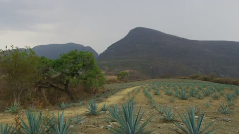 Puebla-Sirra-Madre-Oriental-Berge