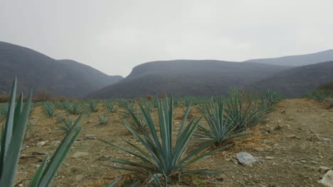 Puebla-Sirra-Madre-Oriental-Berge