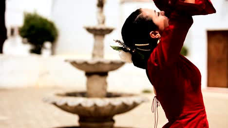 Beautiful-Spanish-Flamenco-Dancer