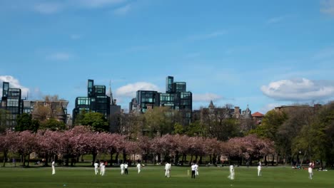 Time-lapse-of-a-cricket-match-in-the-park