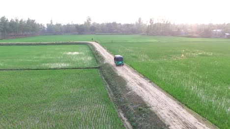 Taxi-de-Bangladesh