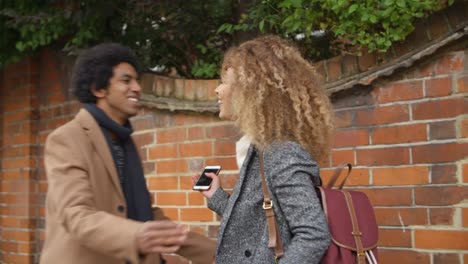 Stylish-Young-Couple-Meeting-On-City-Street