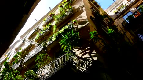 Low-angle-shot-of-buildings-in-the-Gothic-quarter-of-Barcelona