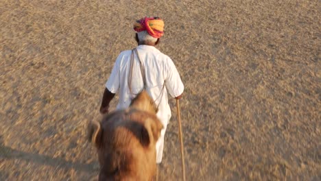 Point-of-View-of-a-ride-of-camel-in-sand-dunes-in-the-desert