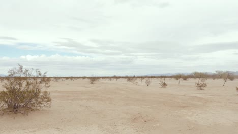 Paisaje-del-desierto-polvoriento-con-vegetación-de-matorrales