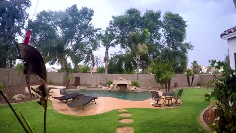 Tormenta-de-verano-llega-a-un-patio-trasero-de-Arizona-y-el-barrio