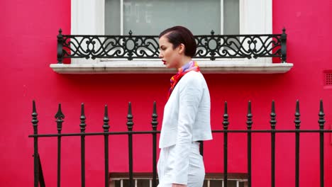 Mujer-elegante-bolsa-de-transporte-paseos-a-lo-largo-de-la-calle-de-la-ciudad