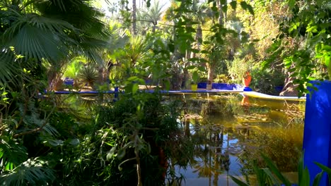 Estanque-en-botánico-Majorelle-y-jardín-de-paisaje-del-artista.-Marrakech,-Marruecos.-4K,-UHD