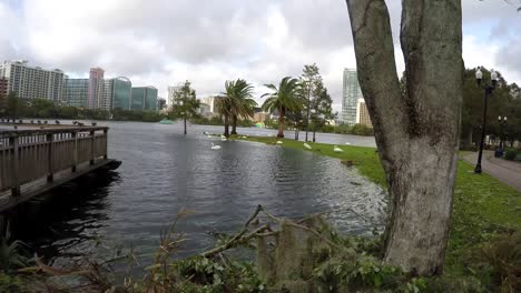 Daños-de-huracán-Irma-en-el-histórico-barrio-de-Lake-Eola-alturas-Orlando-Florida