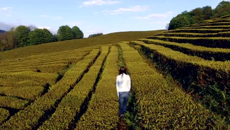Schöne-Frau-zu-Fuß-auf-den-Teeplantagen