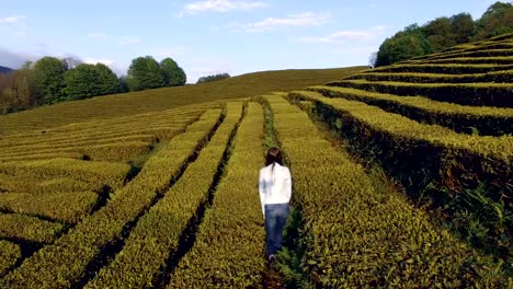 Hermosa-mujer-caminando-por-las-plantaciones-de-té