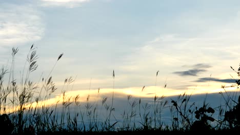 Kleiner-Junge-zwei-alte-7-Jahre-Happy-mit-einem-laufen-und-springen-auf-der-Wiese-im-Sommer-in-der-Natur-Sonnenuntergang-Zeit.-4K-Video-Zeitlupe