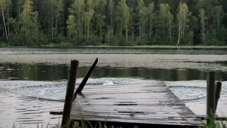 Caucasian-mature-man-jumping-from-wooden-pier-in-lake.