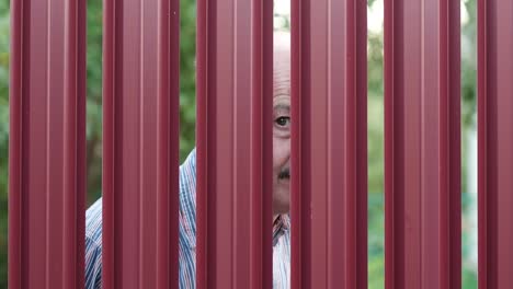Senior-man-looking-through-fence-spying-on-his-neighbor